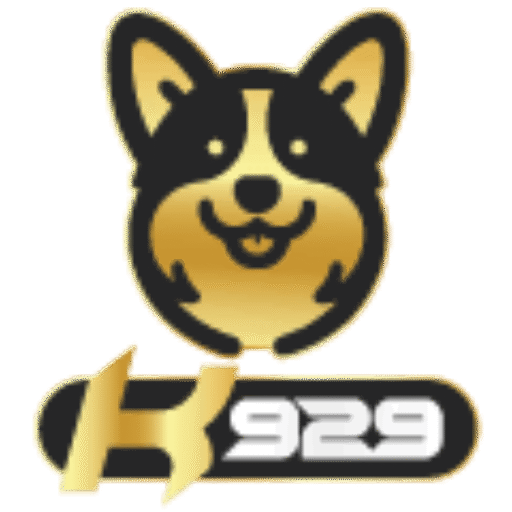 k929